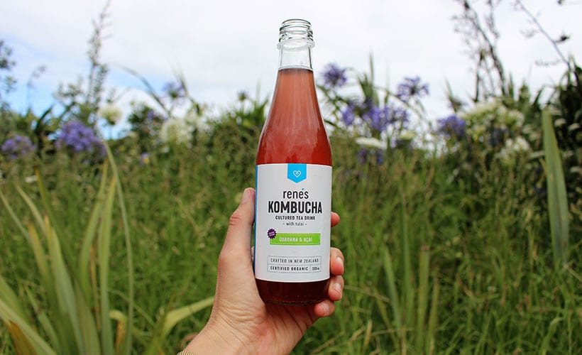 Demystifying Kombucha - Family Health Diary