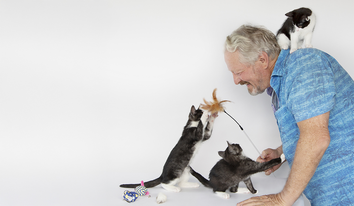 5 Replicate hunting behaviours for cats using toys_1200px