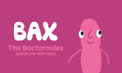 Bax_v2