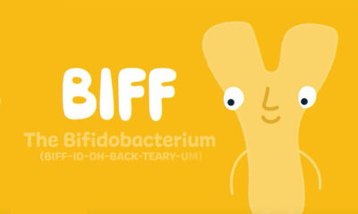 Biff_v2