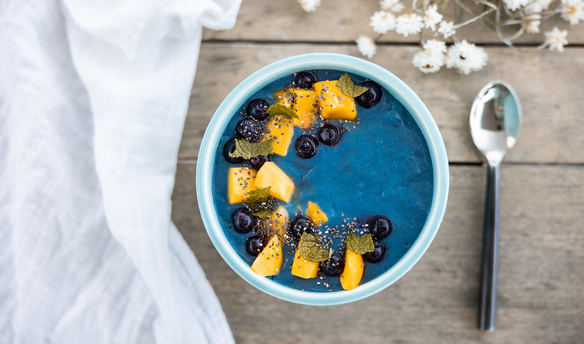 Blue Spirulina Bowl Family Health Diary