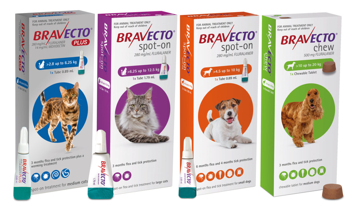 How to tell if your pet has fleas and how to get rid of them fast Family Health Diary